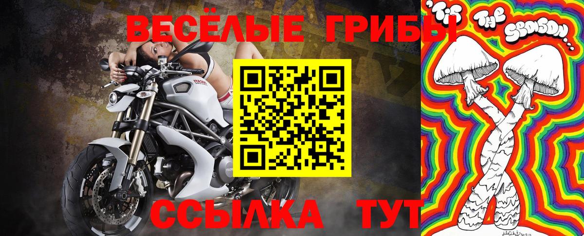 Псилоцибиновые грибы Psilocybe  Вход с VPN  наркошоп  Щёлково 